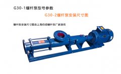 G30系列螺杆泵型号参数及安装尺寸图