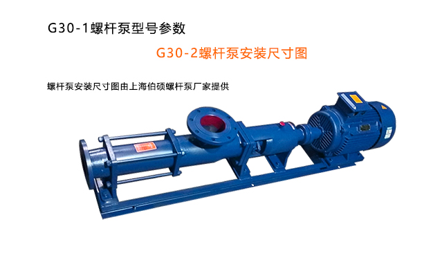 G30-1螺杆泵，G30-2螺杆泵图片展示