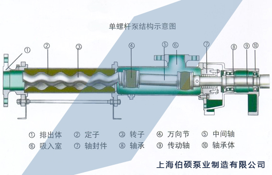 G型单螺杆泵的解剖图